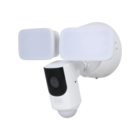 Floodlight Cameras